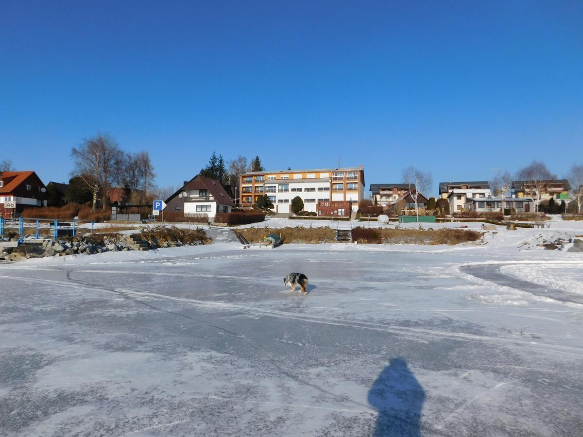 Pension Calla Dolní Vltavice Exteriör bild