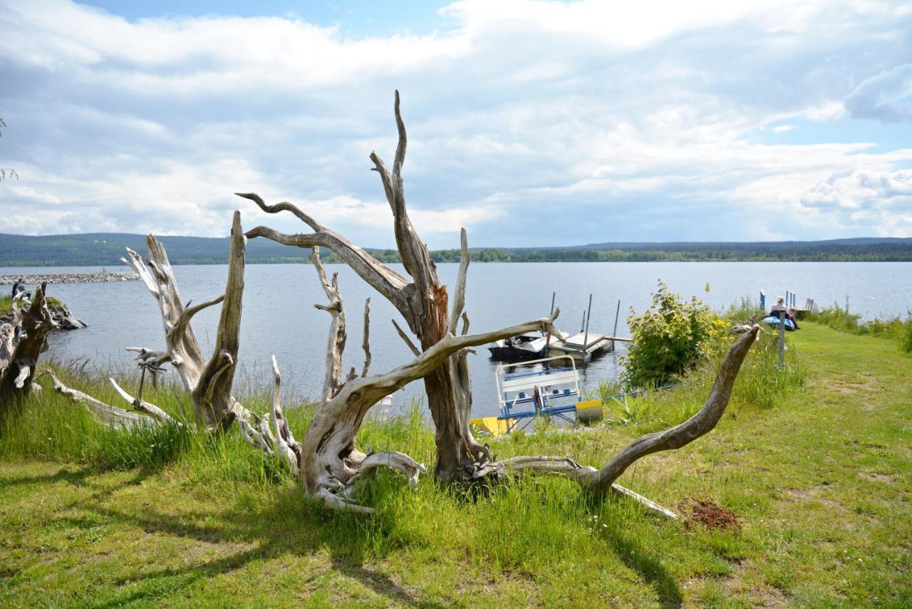 Pension Calla Dolní Vltavice Exteriör bild